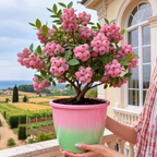 17407