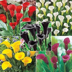 4089